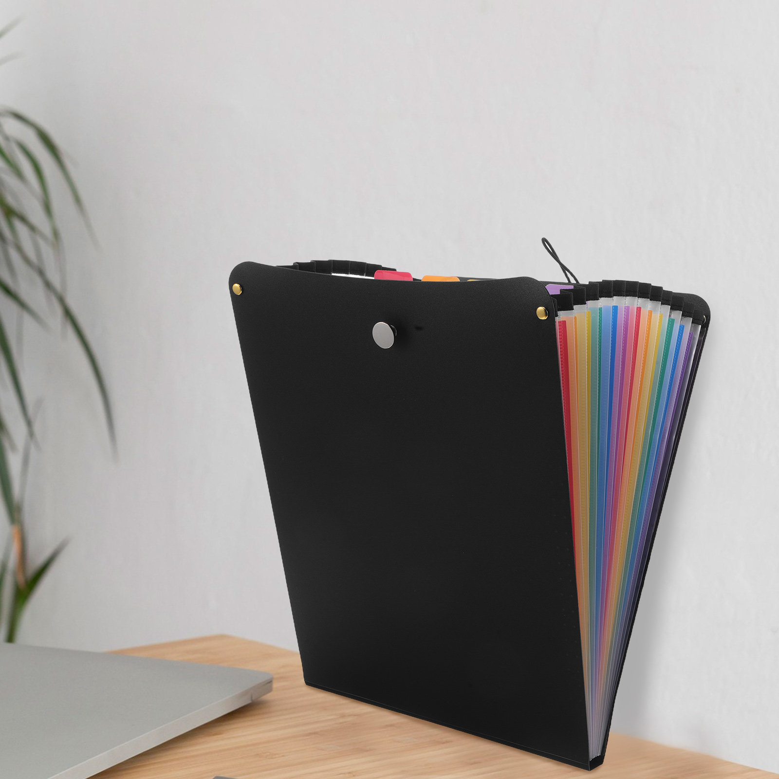 A4-organizer met 13 vakken, ee - Expandable Accordion File Folder 13 Pockets recensie en prijs